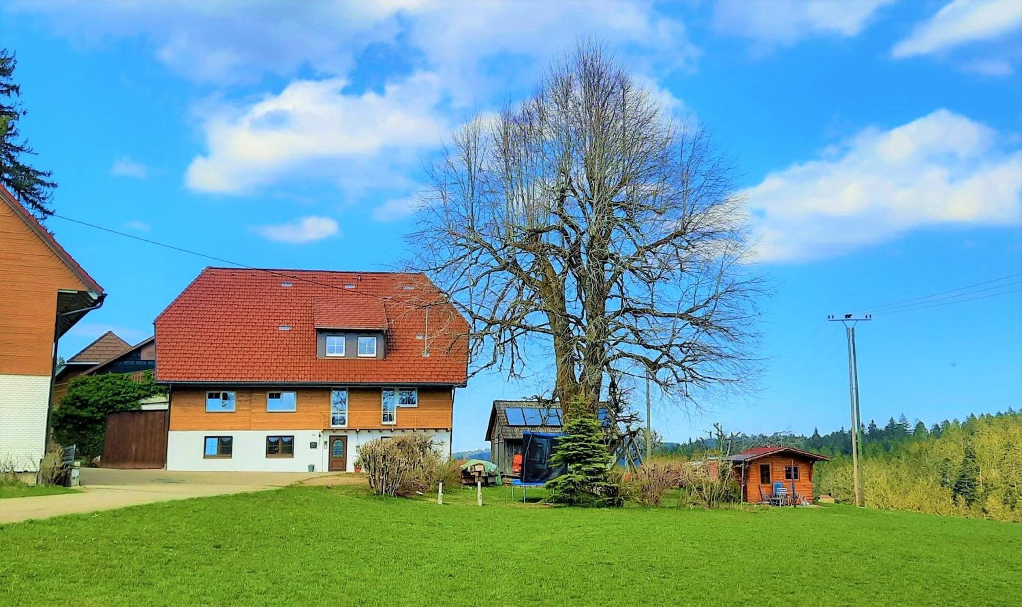 Suessen Haeusle Breitnau Exterior foto